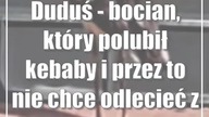 Duduś - bocian, który polubił kebaby i przez to nie chce odlecieć z miasta