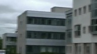 Jakich słów nauczyli się wyspiarze od naszych rodaków?