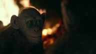 Wojna o planetę małp/War for the Planet of the Apes 2017