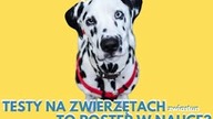 TESTY NA ZWIERZĘTACH? SERIO?