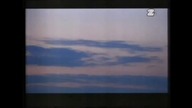 Wilki - Son of the blue sky