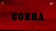 cobra