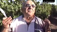 Ależ on żre tę kiełbasę - Makłowicz 