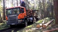 Wywóz drewna z błotnistej drogi || Scania || Okiem ZULa