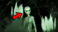 Top 5 strasznych filmów, których NIGDY nie widziałeś