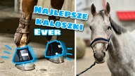 ZNALAZŁAM NAJLEPSZE KALOSZKI 10/10! | zamówienie z Pasi-Konika