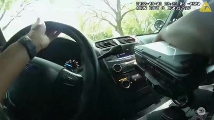 Fugitives Caught on Tape - S02E02 (lektor PL)