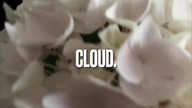 Cloud już za 7 dni