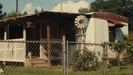Straw.  Dogs.  2011