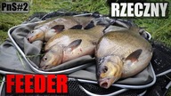 Rzeczny Feeder - Fundamenty - Patrząc na szczytówki #2