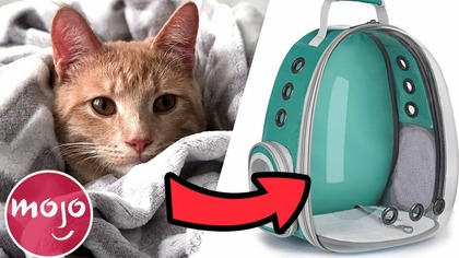 Top 10 Gifts Your Pet Will Actually Like