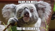 MEMY Polska - Austria
