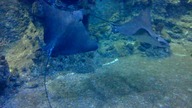 AFRYKARIUM WROCŁAW 13 08 2023 (4)