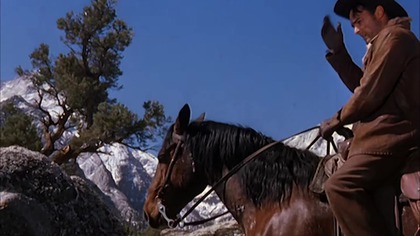 Człowiek w siodle.  Man in the Saddle. 1951.  Lektor.pl . western