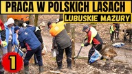 PRACA W POLSKICH LASACH (1) || Dobiegniew - Lubuskie Mazury