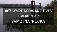 #67 Wypracowane ryby - Barki nr 2 we Wrocławiu i samotna nocka.