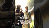 CZY ANIOŁY WYBACZAJĄ LUDZIOM ! ANIOŁY PRZEBACZENIA PRZYDZIELONE PRZEZ BOGA !