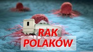 Rak Wiejskiej
