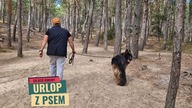 Urlop z psem.  Sasino, Bory Tucholskie.