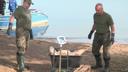 Polska ponowna katastrofa ekologiczna na Odrze