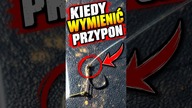 ZMIENIASZ PRZYPON ZA CZĘSTO? Method Feeder  sprawdź to! #carpfishing #method #fishing