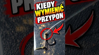ZMIENIASZ PRZYPON ZA CZĘSTO? Method Feeder  sprawdź to! #carpfishing #method #fishing