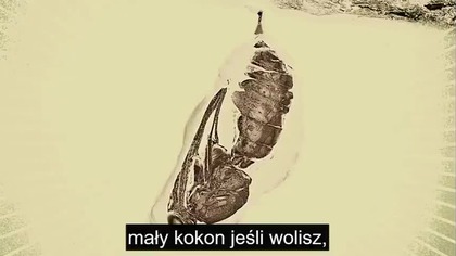 ZAGUBIONA HISTORIA poczatek