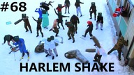 HARLEM SHAKE