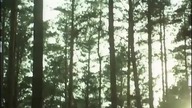 Azyl (1978)