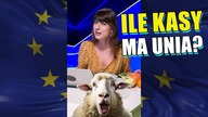 Ile pieniędzy ma Unia Europejska? Roczny budżet jest mniejszy niż polski