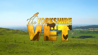 Weterynarz z Yorkshire 8 (2019)