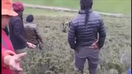 Zabawa w berka z niedźwiedziem