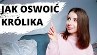 JAK OSWOIĆ KRÓLIKA