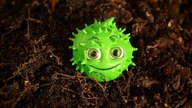 EARTHED / UZIEMIENI