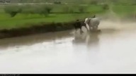 Kompilacja faili z Rosji 