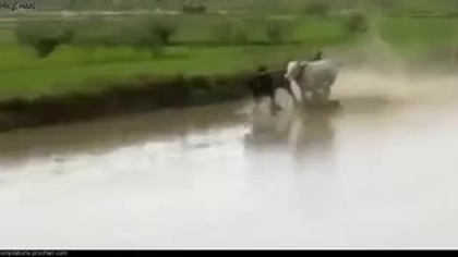 Kompilacja faili z Rosji 