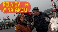 Rolnicy w natarciu