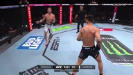 UFC Fight Night 257 - karta wstępna