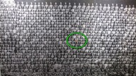 Tajemnica Fotografii z 1903 roku jest SZOKUJĄCA! To, Co Widzisz, Wywołuje Gęsią Skórkę