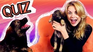 Ile KOBIETY wiedzą o MODZIE?