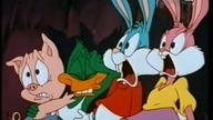 Przygody Animków odc 38 - Podróż do środka Krainy ACME Boomerang