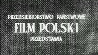 Jasne Łany (1947)