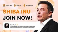 Shiba Inu: Elon Musk & SHIB Holders predict $0. 001 per SHIB | Cryptocurrency NEWS