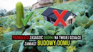 Nowe Prawo Budowlane 2025 ZNISZCZY Twoje Plany Na Działkę!