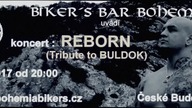 Reborn  Live In Česk&eacute; Budějovice (2017)