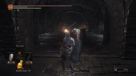 Test stream