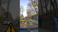 Nieustąpienie pierwszeństwa na przejściu DP #shorts #rikordwidjo