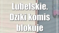 Lubelskie.  Dziki komis blokuje miejsca parkingowe