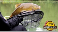 Liny z nieznanej wody na metodę i klasyka - Feeder