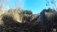 Yamaha XT 600// Enduro terenówkami//